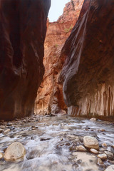 Narrows - Zion National Park