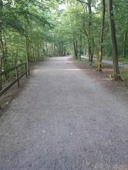 Passeggiata nel bosco
