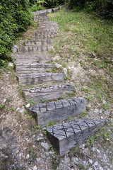 Escalier en bois dans un jardin