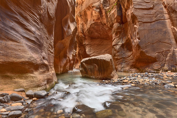 Narrows - Zion National Park