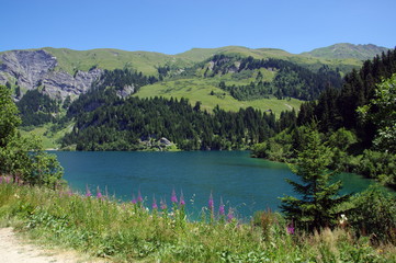 lac de saint- guérin-savoie