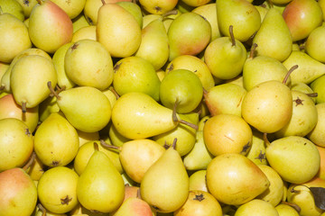 Juicy ripe pears at local fruit market bazaar