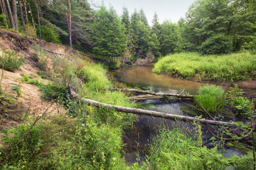 Scenic river landscape
