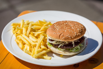 Hamburger with french fries