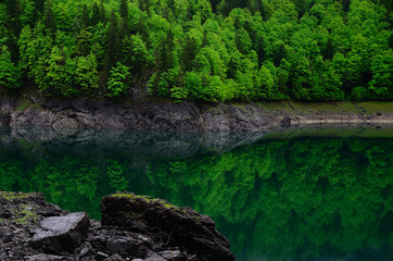 see spiegelung von wald