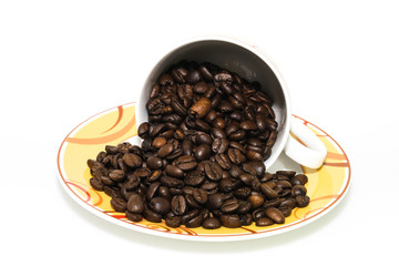 Kaffeegenießer