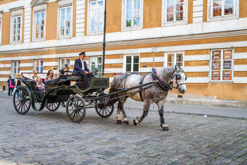 Obraz na płótnie Canvas horse and carriage