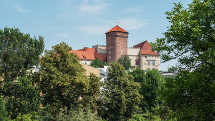 Wawel castle in Krakow (Poland)