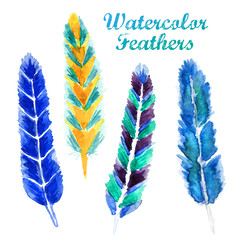Watercolor feathe