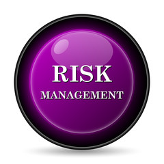 Risk management icon
