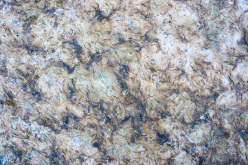 texture of old wall