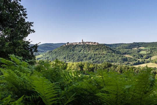 France, Tarn. Vue sur  Puycelsi