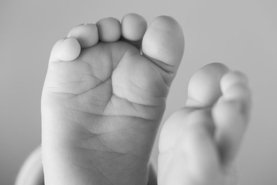 Close-up of a newborn's feet, 15 days old baby