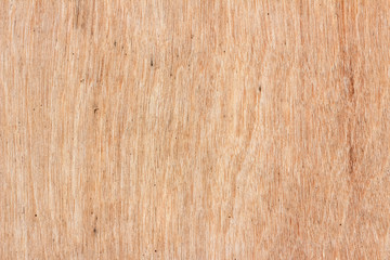 Texture of wood background closeup