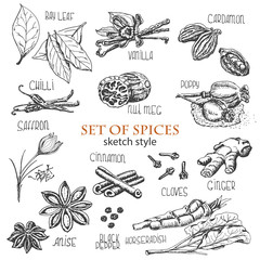 set of spices in sketch style