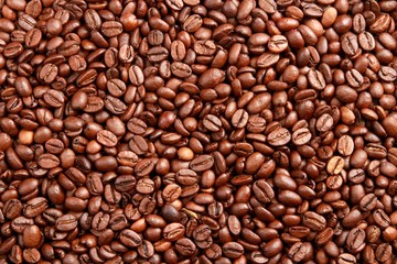 Coffee Bean, Bean, Cafe.