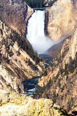 Lower Falls on the Yellowstone River inside Yellowstone National Park, Wyoming