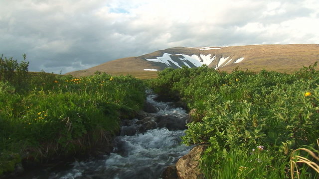 Fast Stream Flowing from the Mountain/
Water noisy flows among tundra. The Creek and the mountain against the sky with clouds. Stream Bank covered with grass and small bushes.
