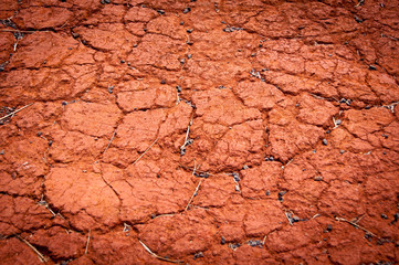 Dry and Cracked Red Earth Background