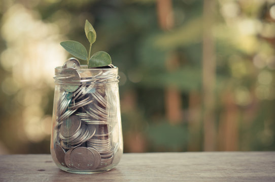 plant growing out of coins with filter effect retro vintage styl