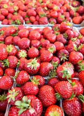 Strawberries for sale