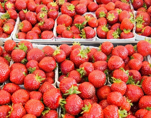 Strawberries for sale