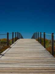 Path to the beach