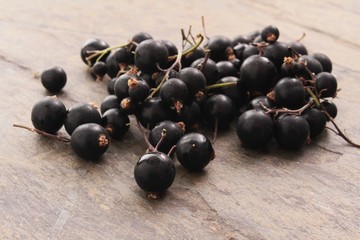 fresh picked blackcurrants