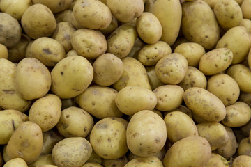 potatoes group as background