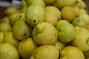 lemon group as background