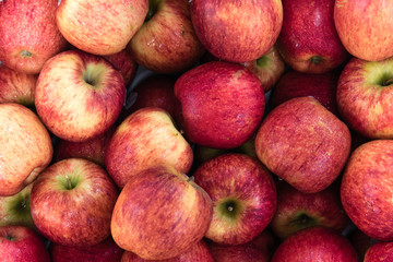 pile of apples at fresh market