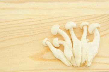 Japanese shimeji mushroom on wooden board