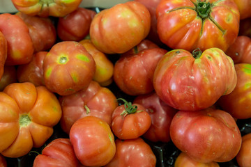 tomatoes group as background