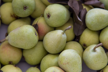 pear group as background