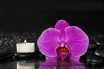 Obraz na płótnie Canvas Beautiful pink orchid with candle and therapy stones 