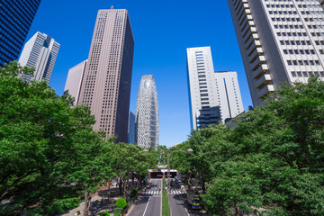 Obraz premium 高層ビル群 東京 西新宿