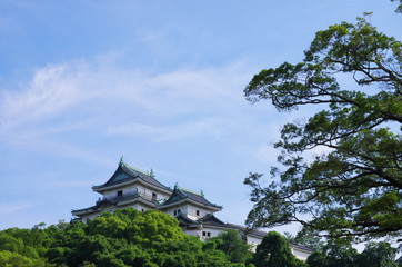 Fototapeta na wymiar 青空の和歌山城