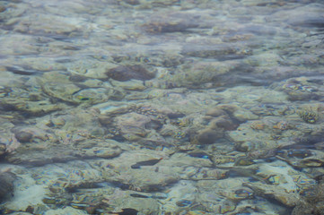 Natural turquoise sea and reflections water with coral reef and white sand at Maldives island.