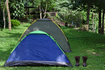 Tents / Two tents on lush green campground