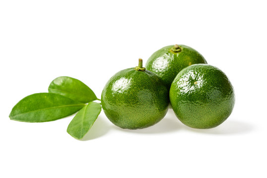 small green lime on white, tilt shift lens