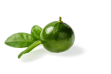 small green lime on white, tilt shift lens