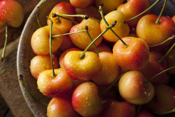 Naklejka na ściany i meble Healthy Organic Rainier Cherries
