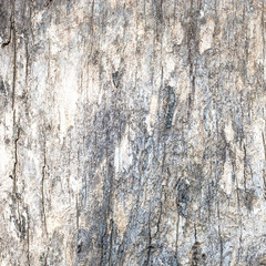 Obraz premium large and textured red old wooden grunge background