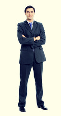 Full body portrait of businessman