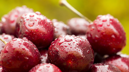 Close up of some cherries on a green and natural background