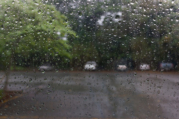 Rain drops on the other side of the glass. With the coming of th