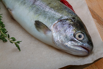 Raw trout