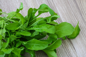 Ruccola