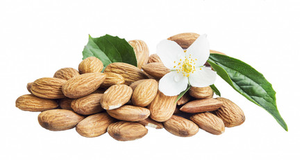 Almonds Isolated with Flower and Leaf