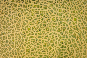 melon fruit peel background